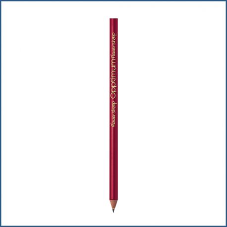 Matita Bic senza gomma personalizzata